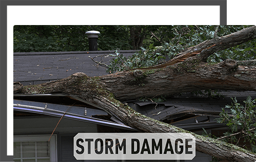 Alexis Roofing Images